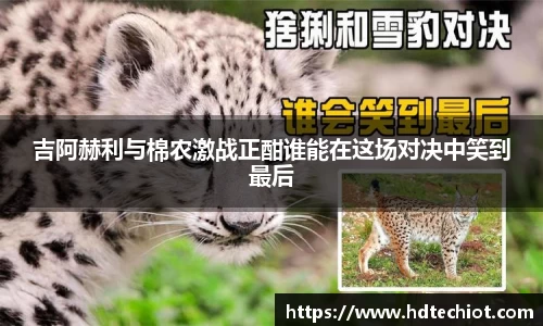 bsports官方网站